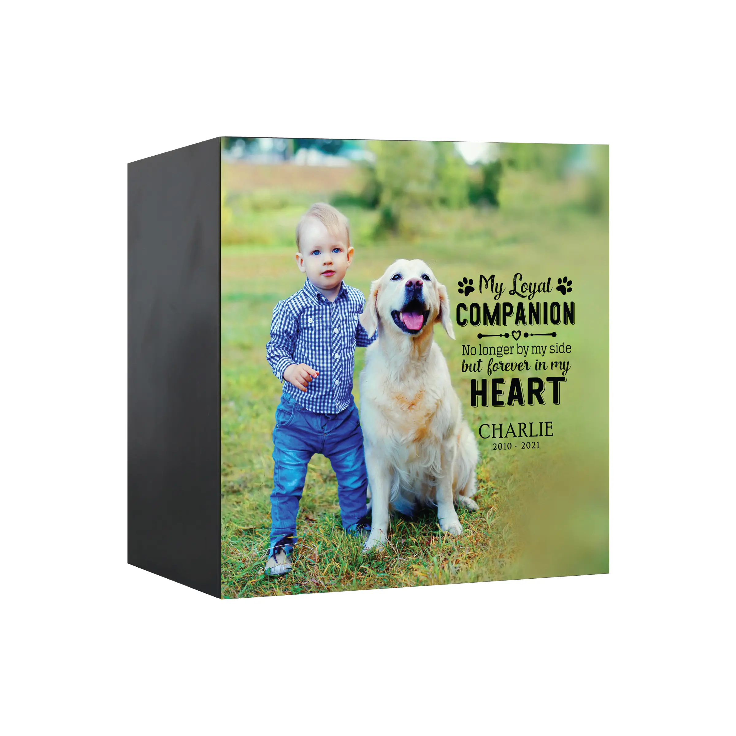 Pet Cremation Urn Personalized Shadow Box Urn Dog & Cat Memorial Gift Pet Loss Sympathy Gift for Pet Lovers | My Loyal Companion