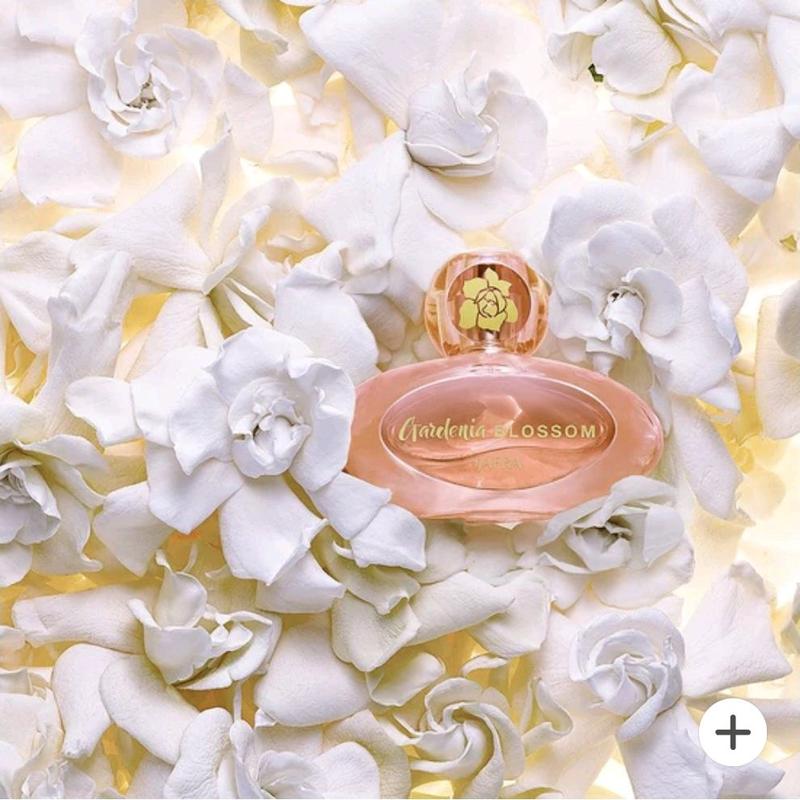 JAFRA Gardenia Blossom EDP for Women 50 ml/1.7 fl oz Floral Fragrance with Green Apple Gardenia & Amber Notes