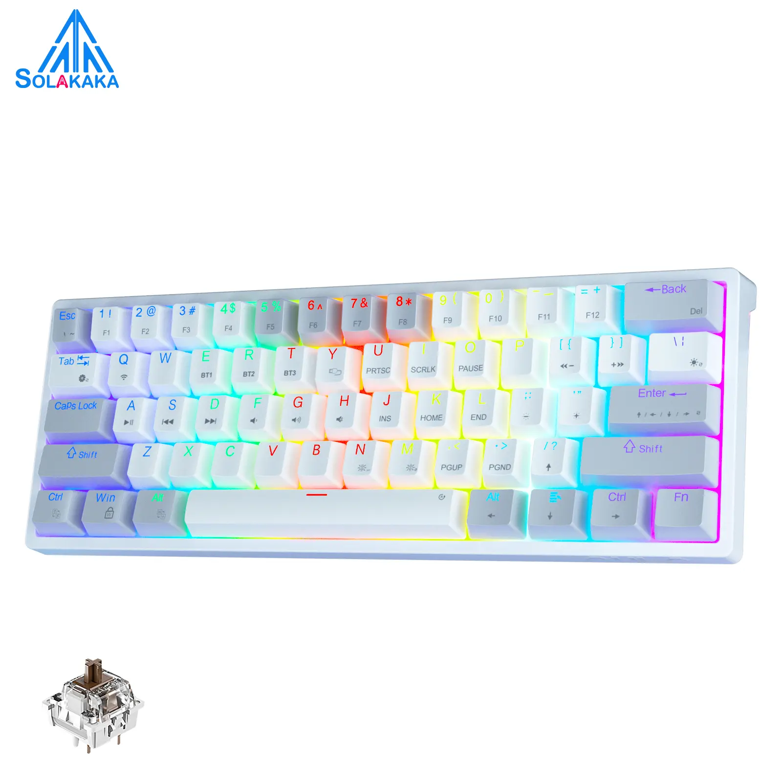 Solakaka SK961 60% Wireless Mechanical Keyboard, Budget Tri-Mode RGB Gaming Keyboard with Bluetooth 2.4G USB-C, Programmable Compact Keyboard for PC Laptop Office