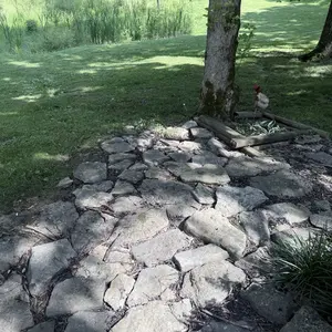 NEW Propane Torch Weed Burner Kit, Weed Torch Blow Torch with 10FT Hose, Heavy Duty Garden Torch with Turbo Trigger for Flame Weeding,Roofing, Melting Ice Snow