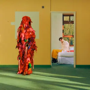 Barry Can't Swim - Loner  [VINYL RECORD - LP]