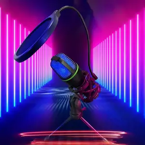 Professional Microphone, Wired Microphone, Desktop Microphone with Tripod Stand for PC Video Chat Game Recording