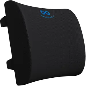 Everlasting Comfort Lumbar Support Pillow - Memory Foam Back Cushion for Chair, Car, Couch - Promotes Better Posture, Back Pain Relief Everlasting Comfort Lumbar Support Pillow - Memory Foam Back Cushion for Chair, Car, Couch - Promotes Better Posture, Back Pain Relief