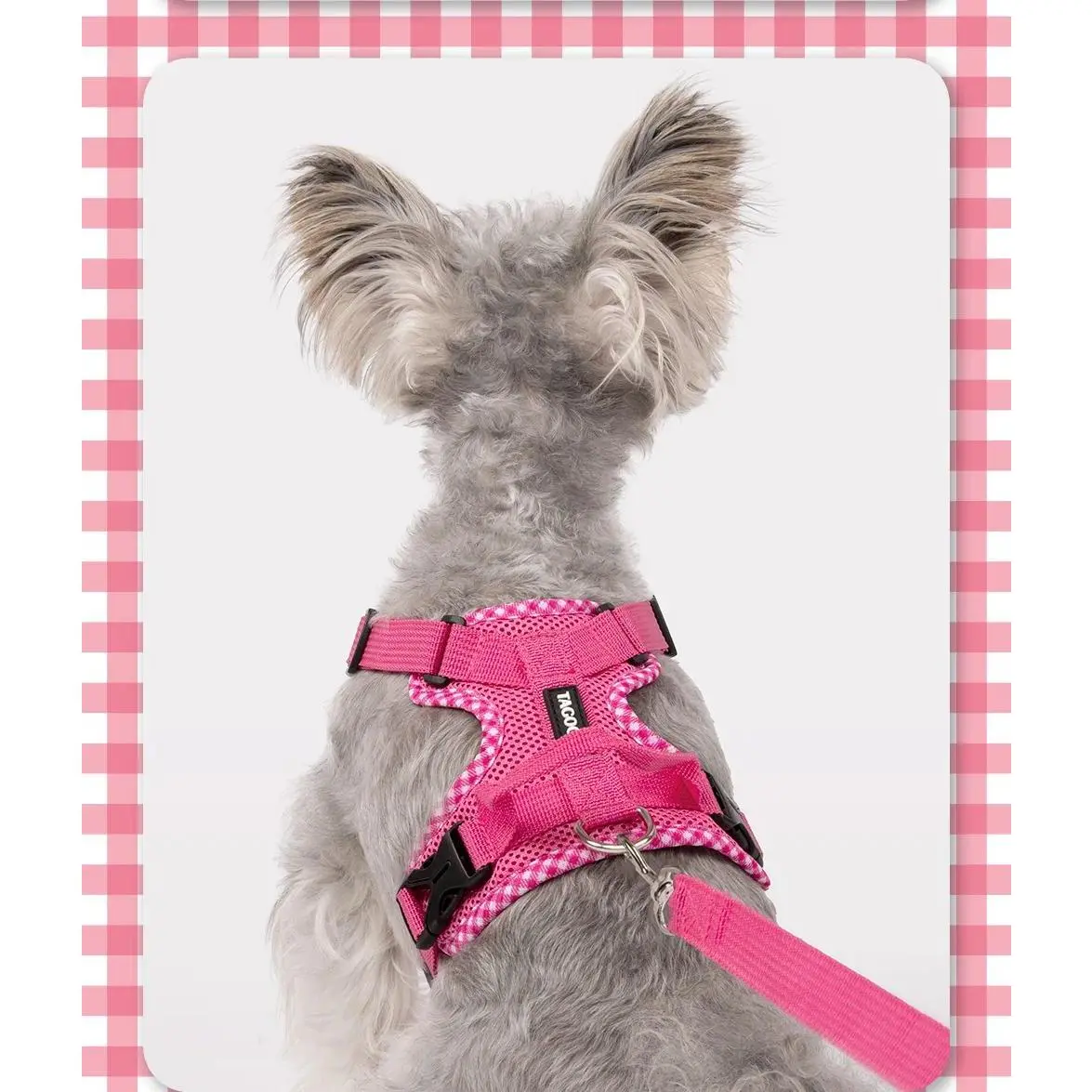 Dog Mesh Harness, Leash and Collar Kit - Lightweight, Breathable, Reflective Strips for Small/Medium/Large Dogs, Pet Walking Accessory for Collars & Harnesses & Leads