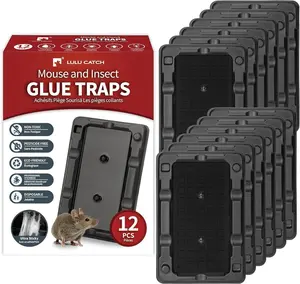 Mouse & Insect Traps 12 Pack, Heavier Sticky Traps with Non-Toxic Glue for Small Mice & Insects. Sticky Mouse Traps Indoor for Home, Easy to Set