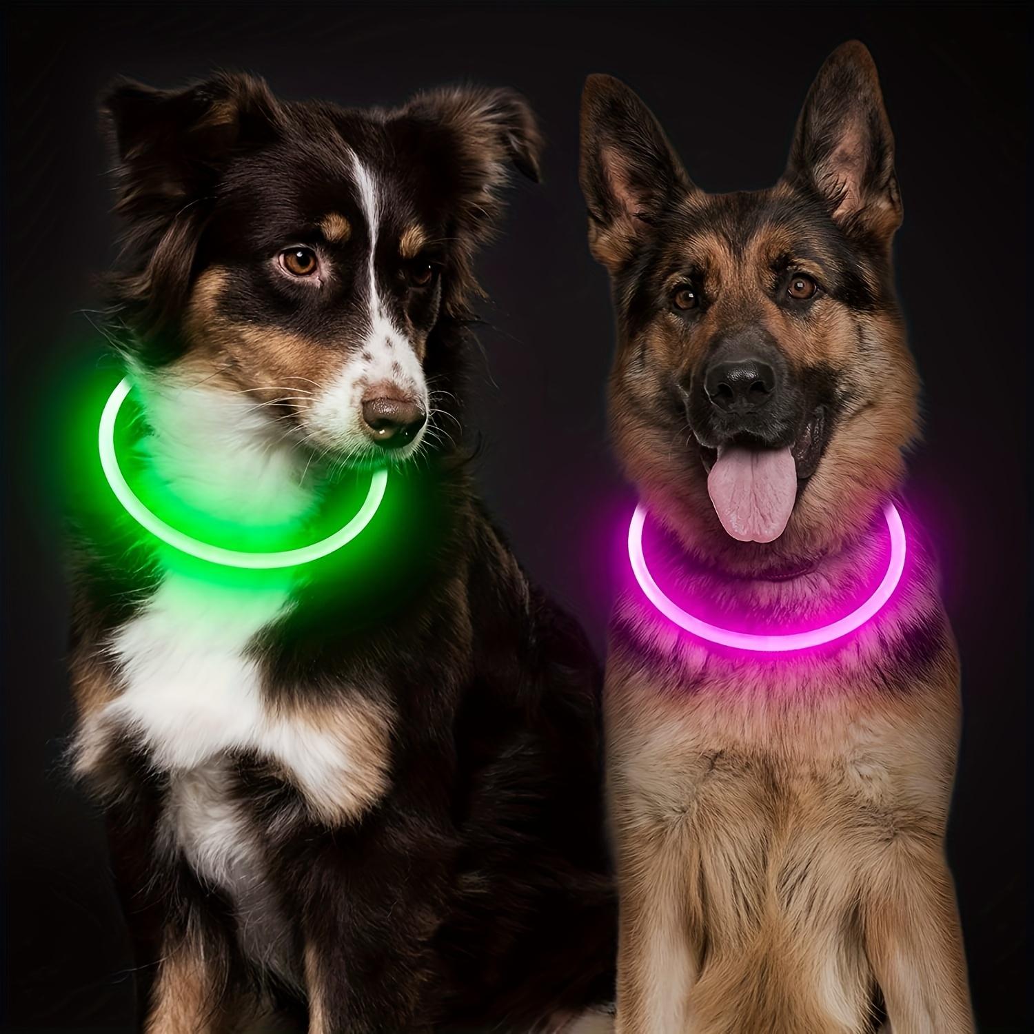 USB Rechargeable Whole Luminous Pet Dog LED Light Collar Anti-loss At Night