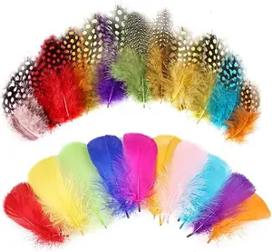 Colorful Feathers 2 Style Craft Feathers 420Pcs for Handmade DIY Wedding Family Party Decorations Mixed Natural Feathers