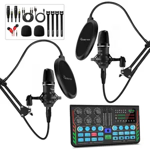 Hayner-Seek Podcast Equipment Bundle for 2, DJ Mixer with 3.5mm Diaphragm Condenser Microphone for Live Streaming, Podcast Recording,Gaming, Youtube, TikTok, PC, Smartphone