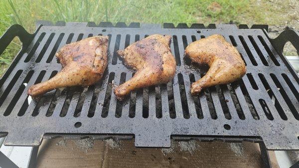 Slot Grill Collapsible BBQ Grill Portable Heavy-Duty Griller for Tailgating Camping & Picnic Outdoor Cooking Backyard Parties Picnicware