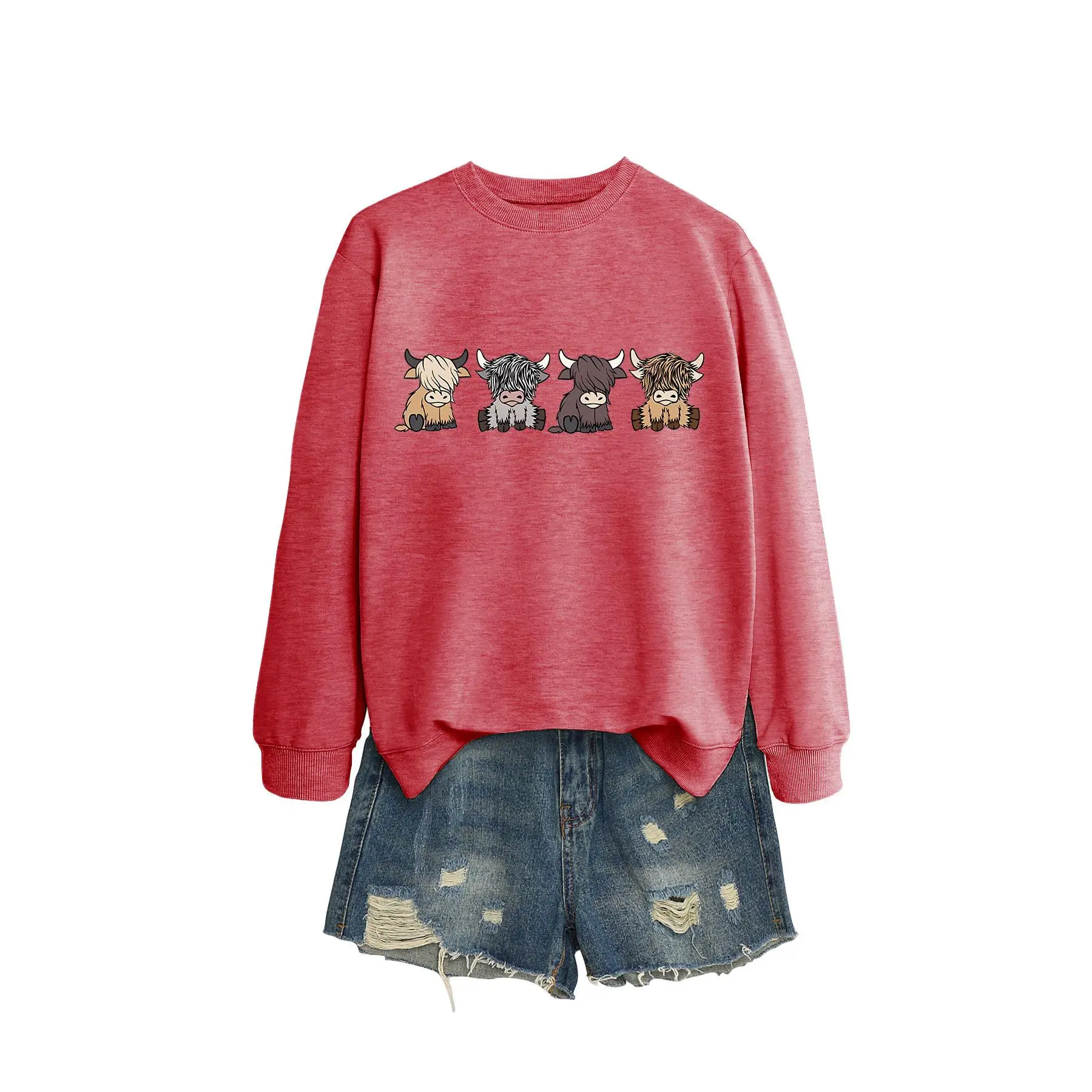 Red hoodie (color picture)