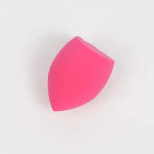 Nuocheng Dry and Wet Use Makeup Sponge Set Blender Beauty Foundation Blending Sponge