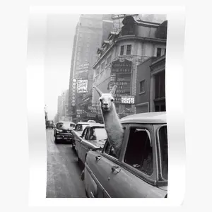 Stunning New York Llama Art Poster - Vibrant Cityscape & Quirky Llama Design Wall Decor for Home & Office