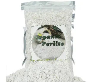 Organic Perlite for Plants, Soil Amendment for Enhanced Drainage and Growth, Ideal for Potting Mixes (1 Quart)