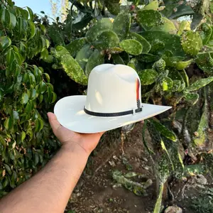 Tombstone 1000X Johnson telar 3 1/2 brim cowboy hat