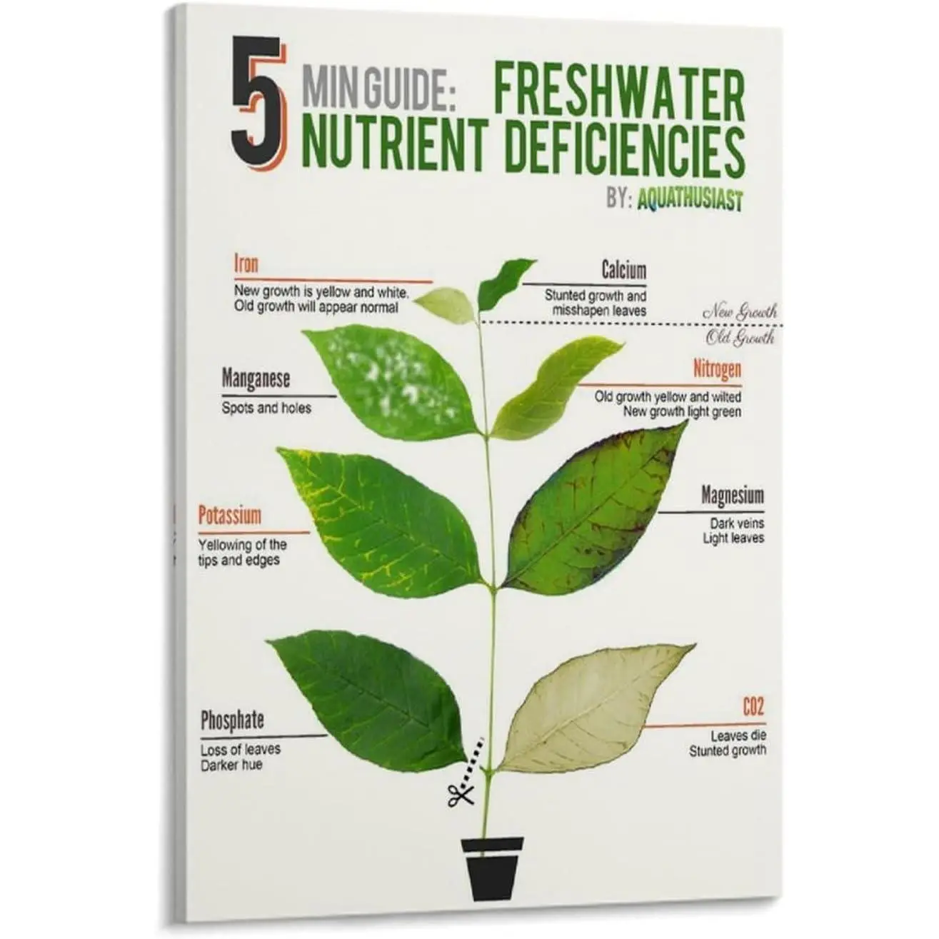 Plant Signs of Nutrient Deficiency Education Poster (1) Canvas Print Wall Art Decoration Living Room Office Bedroom Aesthetic 24x36inch(60x90cm) Frame-style