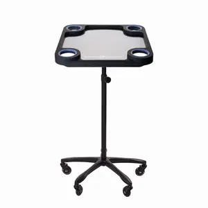 Braids & Freckles Black Magnetic Colorist 21x21" Tray for hair professionals