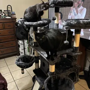 PurrFest 68 Inches Cat Tree House with Condo Scratching Post Multi-Level Towers for Cats Warm Stable Solid Design