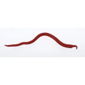 Berkley Gulp! Saltwater Extruded Bloodworm Soft Baits