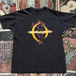 A Perfect Circle Baby Tee – Y2K Aesthetic Graphic Tee