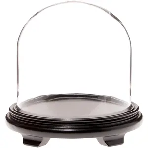 Plymor 9.75" x 10" Glass Display Dome Cloche