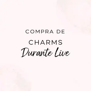 Charms 925 Sterling Silver