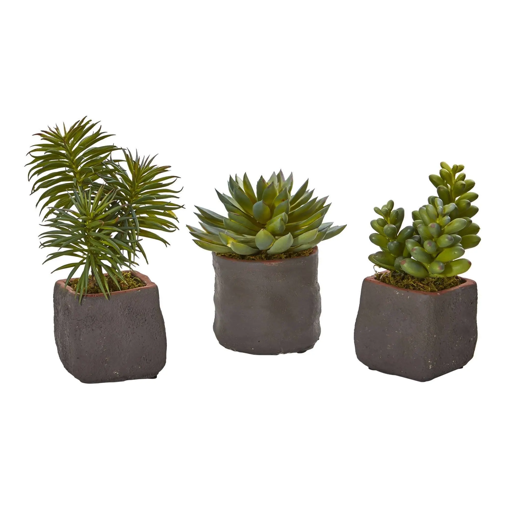 Lifelike Look Artificial Mixed Succulent Trio - Ceramic Base, Moss-Infused, Desk Decor, Plant Decor, Botanical Aesthetic Home Supplies Artificial Plants Set (Set of 3)