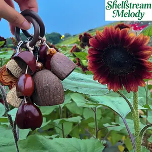 Gift Box Handbag Handmade Charm Pendant, Handmade DIY Ornament, Shell Nut Jewelry, ASMR Craft, Stream River Sound accessory, Natural Decor