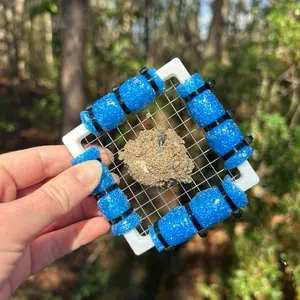 Fossil Sifter Miniature