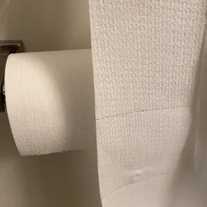 Reel Bamboo Toilet Paper (24-ct)