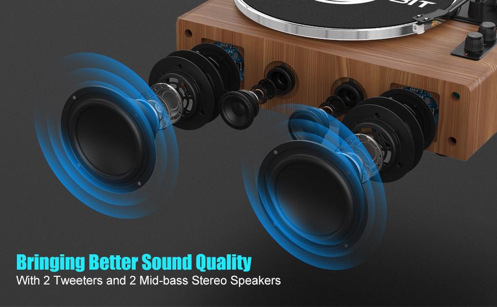 Record Player with Speaker, Vinyl Record Turntable with Magnetic Cartridge for Home Decoration and Entertainment, Vinyl Record Player Suitable for Christmas or Birthday Gift