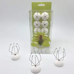 10 Pack Wall Mount Air  Holder (Adhesive tape,Stainless Steel Tillandsia Air  Planter)A  Set of Air  Containers for Creating Tillandsias Art Display  Wall (Medium)