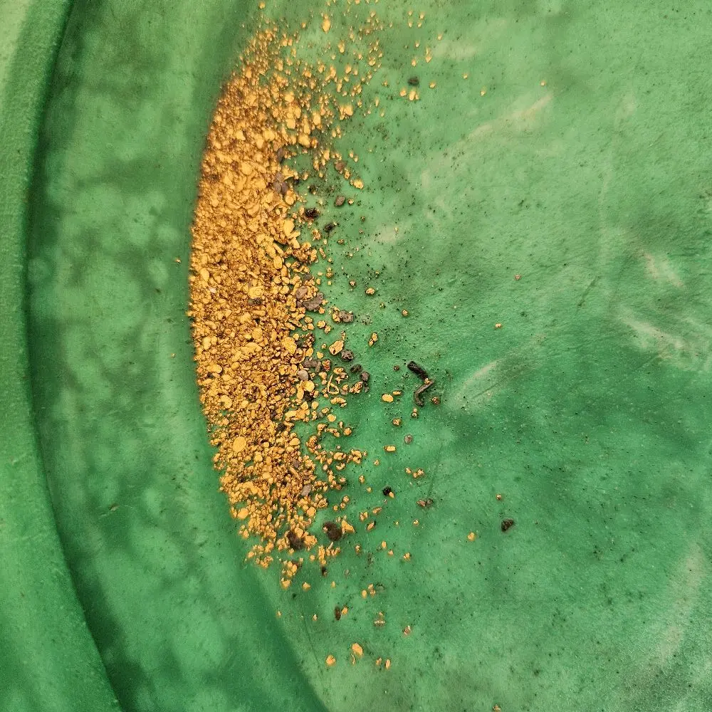 Super Rich!! 7LB. Mother Lode CA Gold Paydirt - GUARANTEED GOLD!