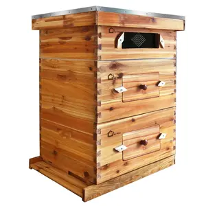 10-Frame Complete Beehive Kit, Wax Coated Bee Hives for Beginner, Includes 2 Deep Box and 1 Medium Bee Box with Acrylic Window, Beehives Frames and Wax Foundations for Beekeeping Supplement