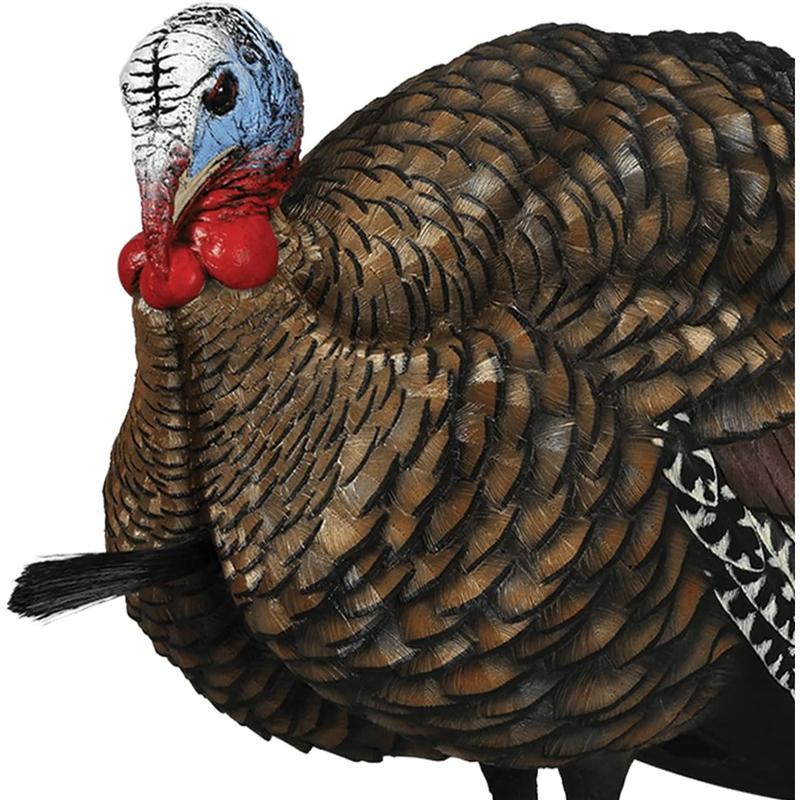 LCD Half-Strut Jake Turkey Decoy| Durable Realistic Lifelike Collapsible Standing Hunting Decoy with Carry Bag & Stake, AVX8012 Solar Trail Camera Phone Alerts