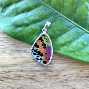 Medium Butterfly Wing Pendant