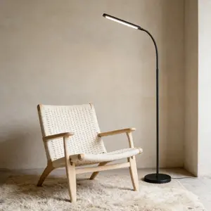 LED Floor Lamp USB Powered Adjustable Brightness Three Color Temperatures Flexible Gooseneck Modern Reading Light Aluminum Pole