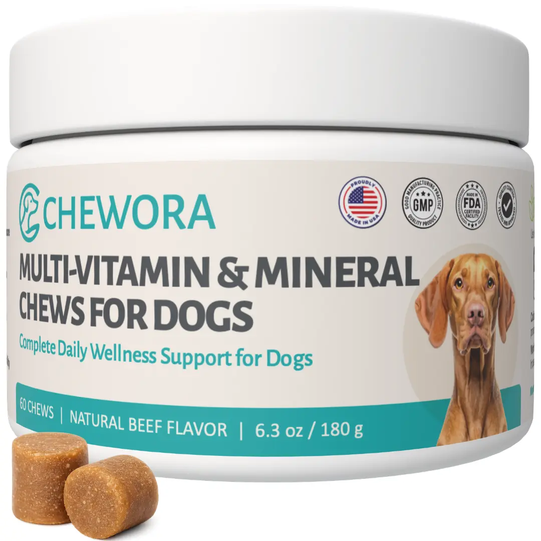 Dog Multivitamin Chews – 60 Soft Beef Flavor Treats | Supports Immunity, Skin & Coat, Heart Health + Daily Wellness