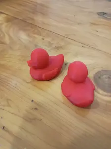 DuckWasher(TM) Red BackSpray-