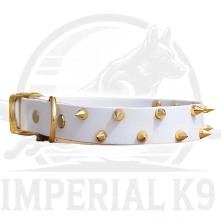 Water proof 1” Spiked Collar | Made with Biothane puppy essential puppy collar