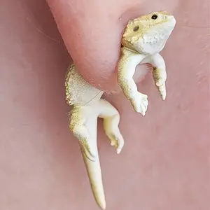 🦎 "✨Bohemian Lizard Ear Cuff✨ | Hip-Hop Alchemy Jewelry 2025⚡️ St. Patrick's Copper Charm | Hypoallergenic Reptile Studs for Her/Alt BFF🔮 Edgy Day-to-Night Drop💫 #BohoHipHop TikTok's Obsession!"