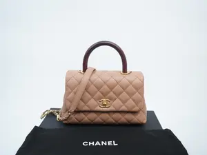 Pre-owned CHANEL caviar calfskin/lizard handle Crossbody Bags Caviar Lizard Quilted Small Coco Handle Flap Tan