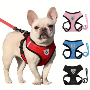 Pet Walking Goggles & Chest Strap – Breathable Mesh Collar with Traction Rope