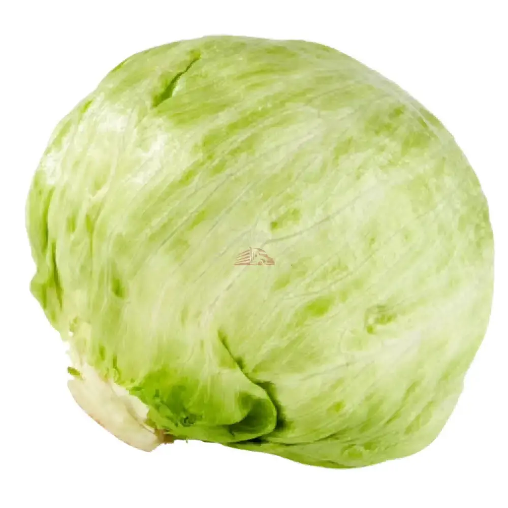 Head Lettuce