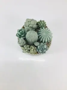 Concrete Succulent Garden Container