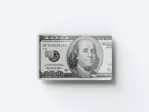 One Hundred Dollar Bill Credit Card Cover/Skin