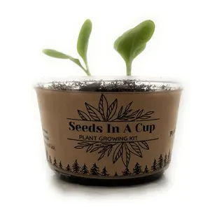 Seeds In A Cup | Plant Grow Kit | Cucumber | Vegetable and Herb Seed Starter Kit for Kids & Adults | Urban Garden Grow Kit | Guaranteed to Grow