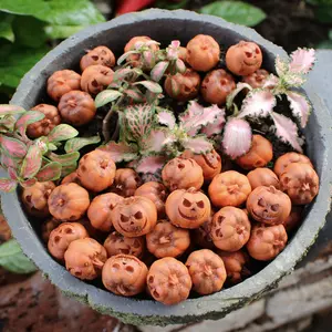 20pcs Resin Mini Pumpkin Decorations, Creative Halloween & Thanksgiving Party Props, Garden Micro Sculptures, Home Courtyard Accessories