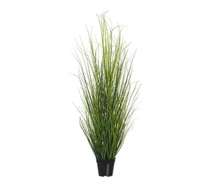 Vickerman 48" Green Tufted Hairgrass Potted UV