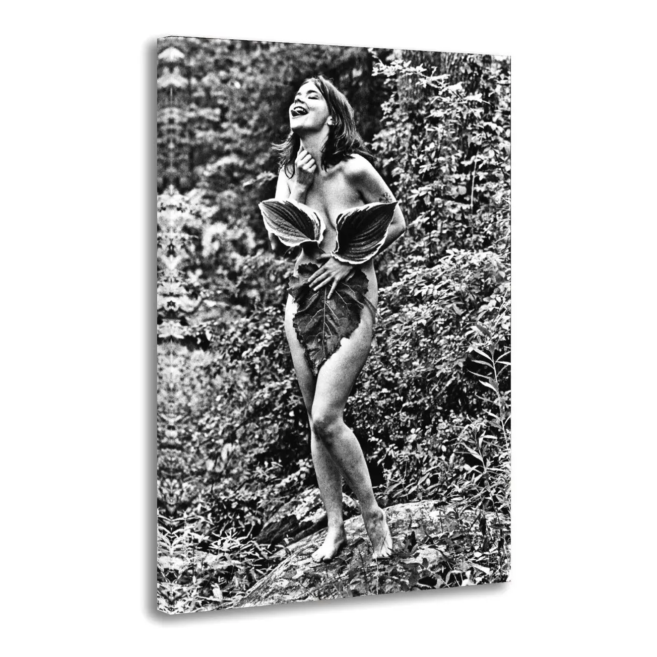 Bjork - Woodstock Woodstock Hippies, Woodstock 1969 Painting On Canvas Wall Art Poster Picture Print Living Room Walls Decor Home Posters