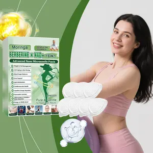 Berberine NAD+ 10-IN-1 Advanced Nano Microneedle Patch Activate Local Loop Daily Body Care Patch with Microdarts Technology